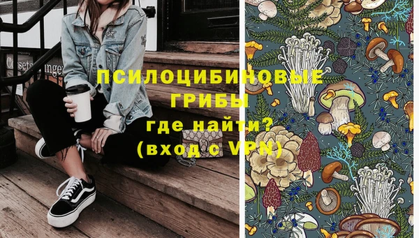 прущая мука Абаза