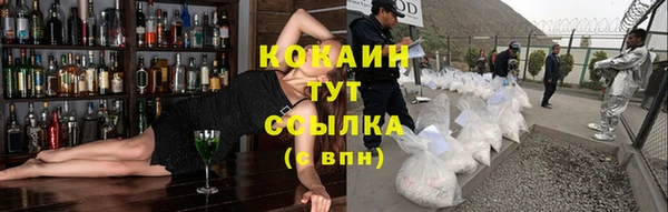 дживик Абинск