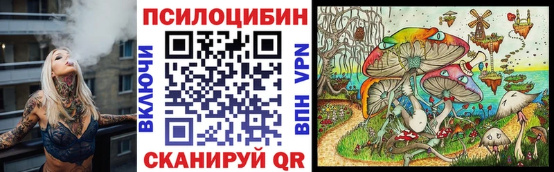 Псилоцибиновые грибы GOLDEN TEACHER  дарнет шоп  Щёкино 